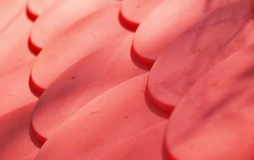 Dumpford plastic roof costs