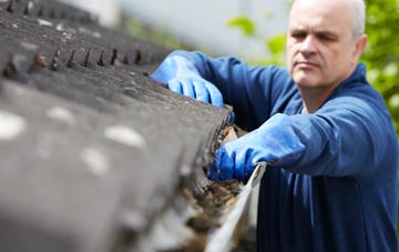 cleaning and inspecting Dumpford roofs
