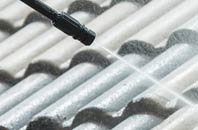 rated Dumpford roof cleaning companies